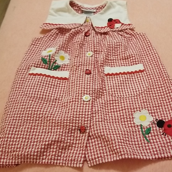 Youngland Other - *CLOSEOUT* Ladybug dress 3T poly/cotton